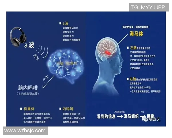 电竞实时数据专家赵芳揭秘英雄联盟成功背后的秘密与策略